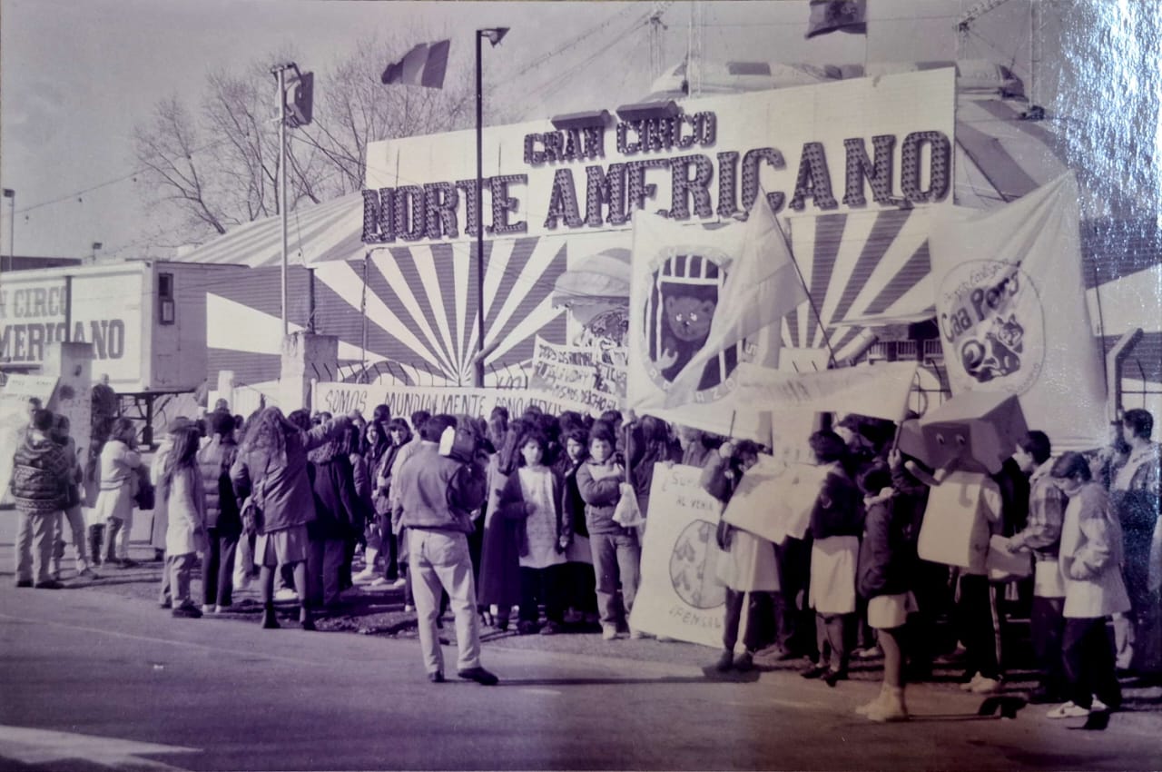 Manifestación organizada