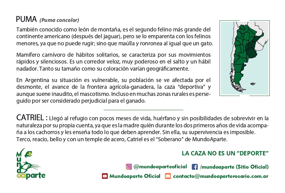 Puma Catriel - Imagen trasera